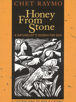 cover image of Honey from Stone